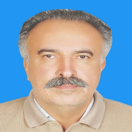 Assoc. Prof. Dr. Arash Javanshir-khoei